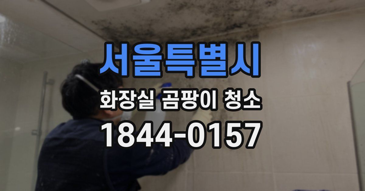 서울특별시 화장실 곰팡이 청소