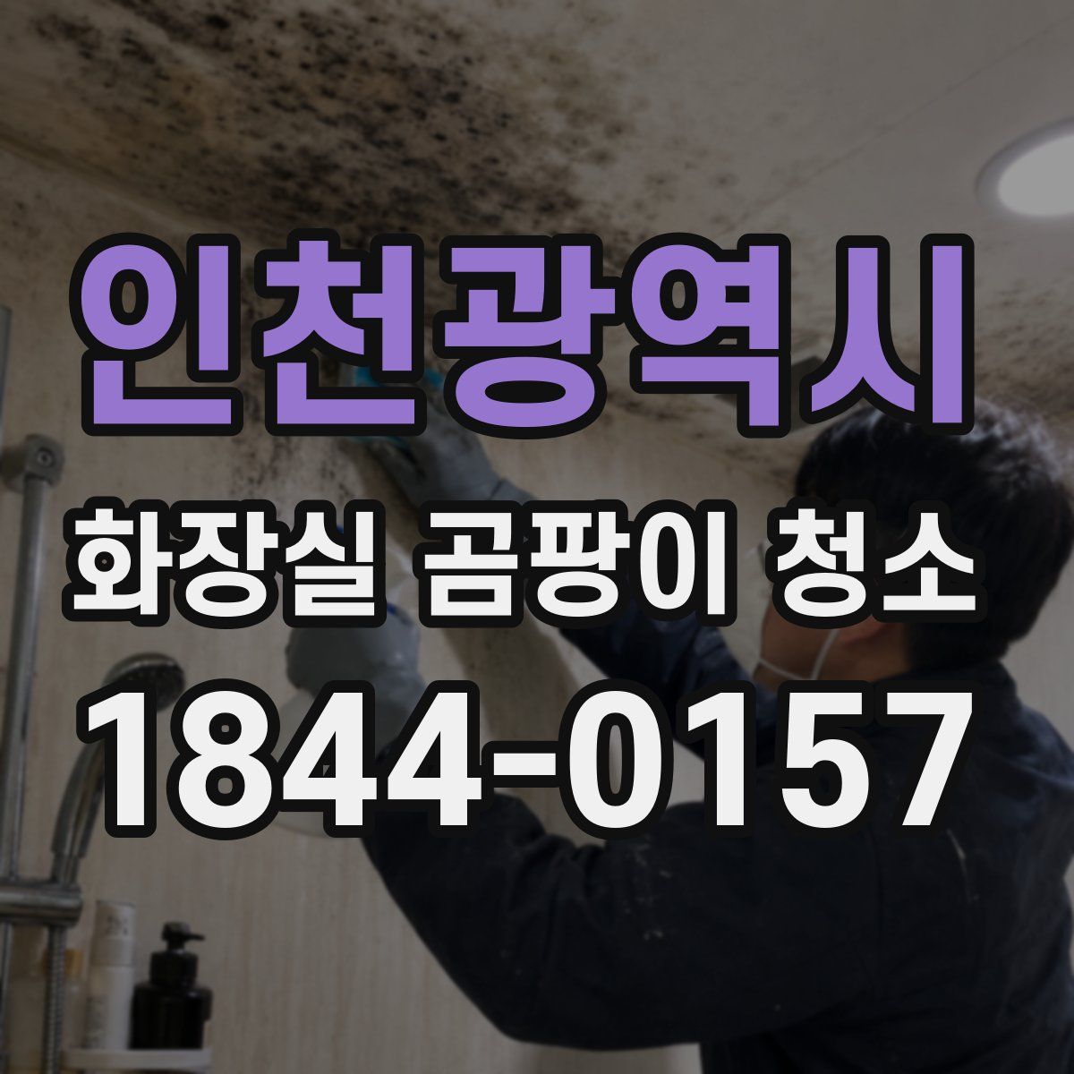 인천광역시 화장실 곰팡이 청소