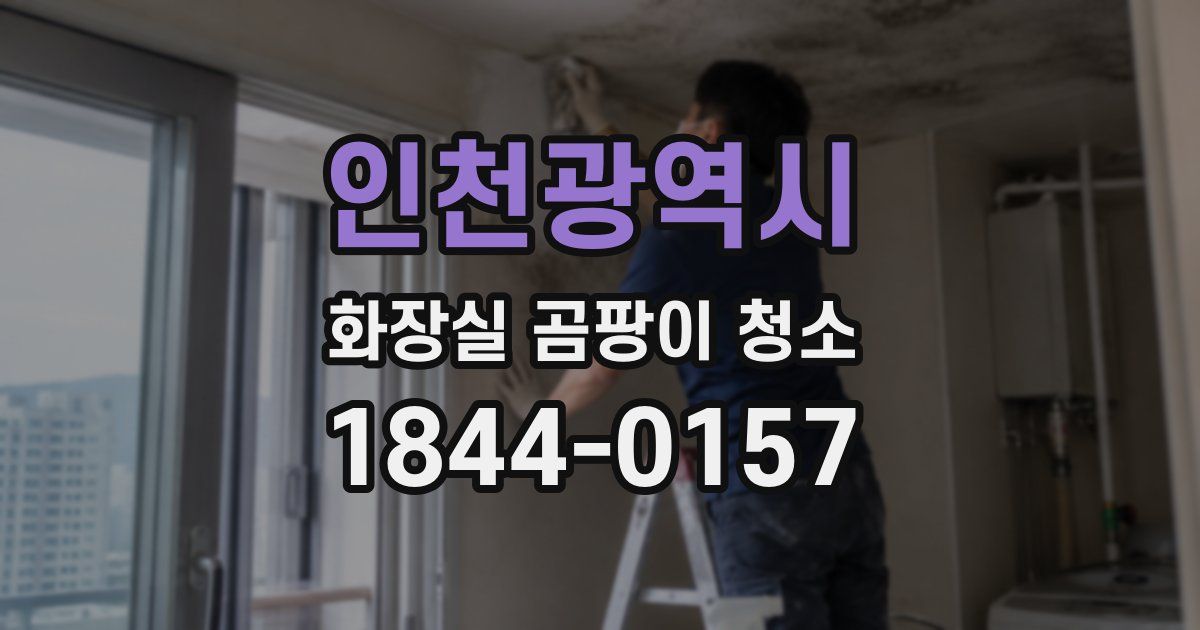인천광역시 화장실 곰팡이 청소