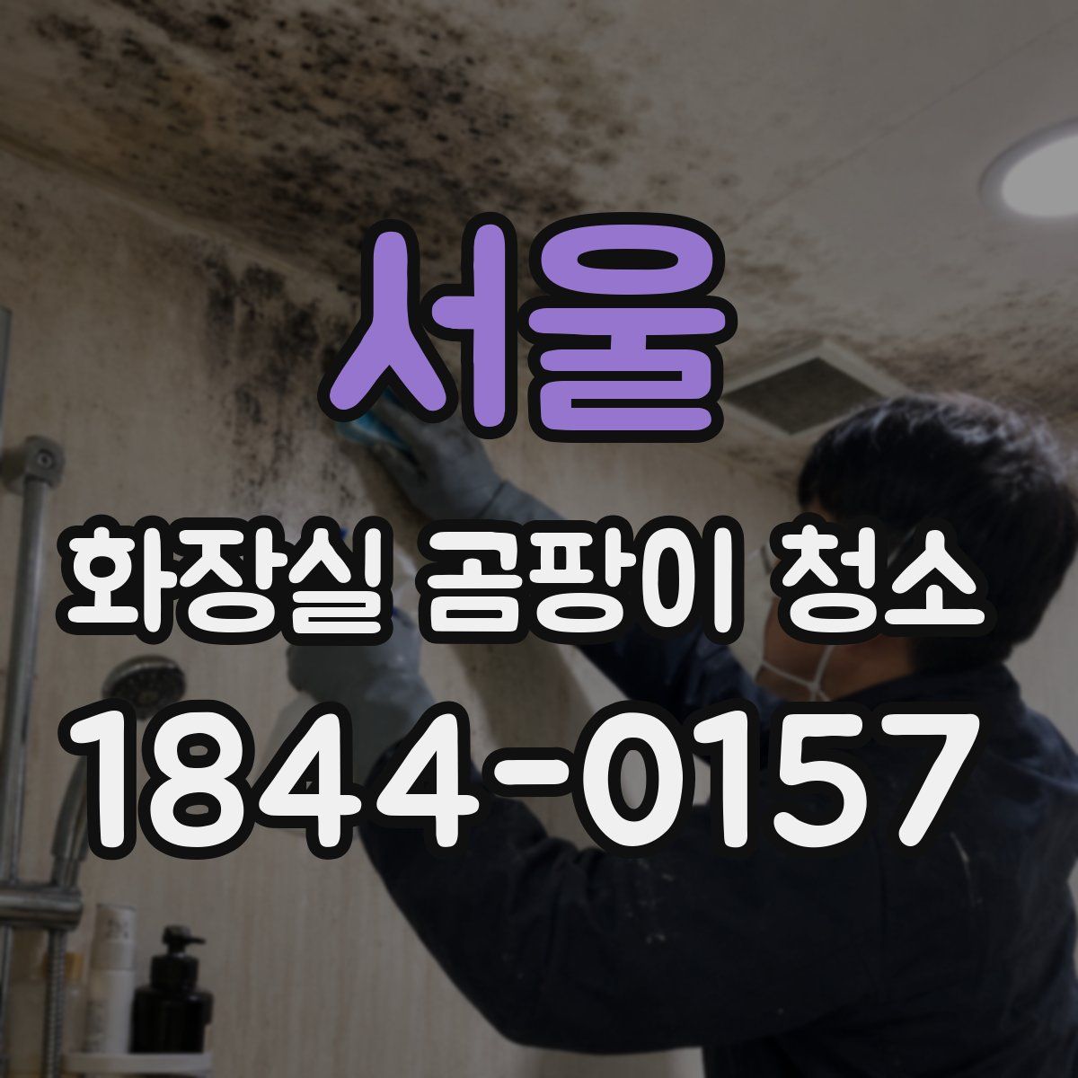 서울 화장실 곰팡이 청소