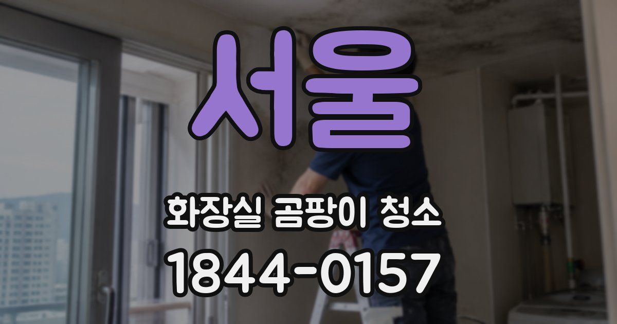 서울 화장실 곰팡이 청소