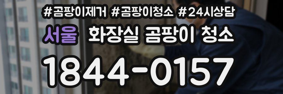 서울 화장실 곰팡이 청소