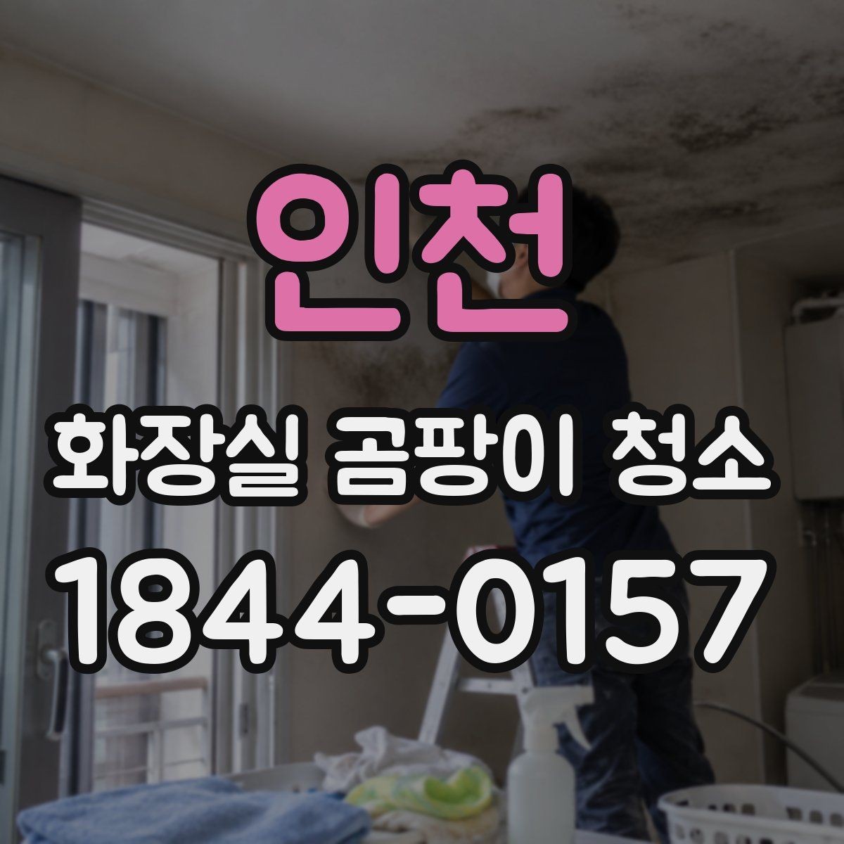 인천 화장실 곰팡이 청소 타일 표면 손상 줄이는 기본 순서