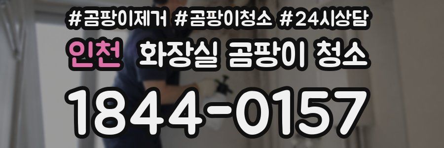 인천 화장실 곰팡이 청소