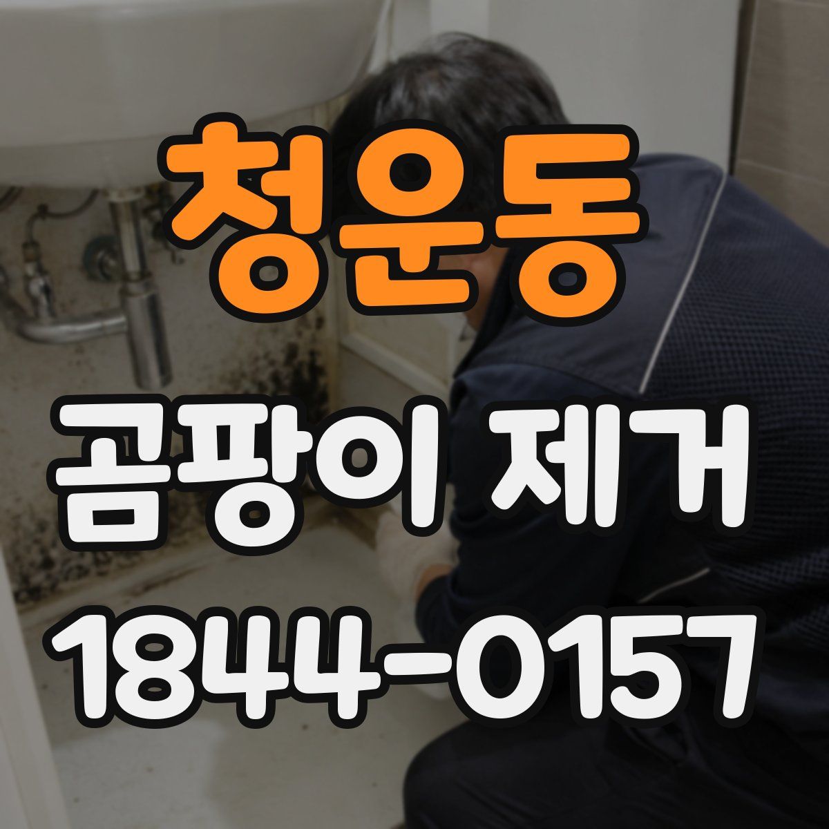 청운동 곰팡이 제거