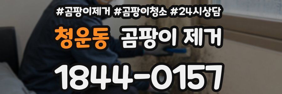 청운동 곰팡이 제거