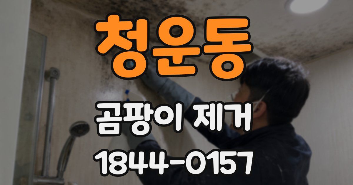 청운동 곰팡이 제거