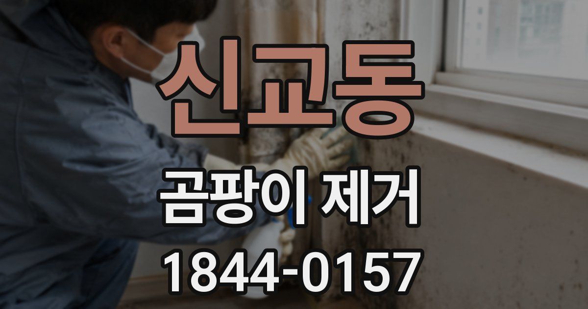 신교동 곰팡이 제거