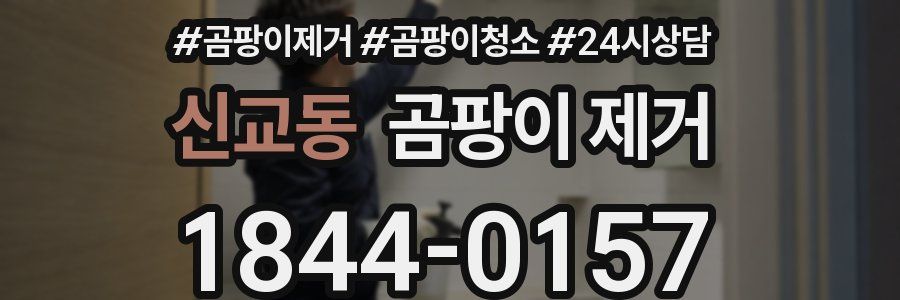 신교동 곰팡이 제거