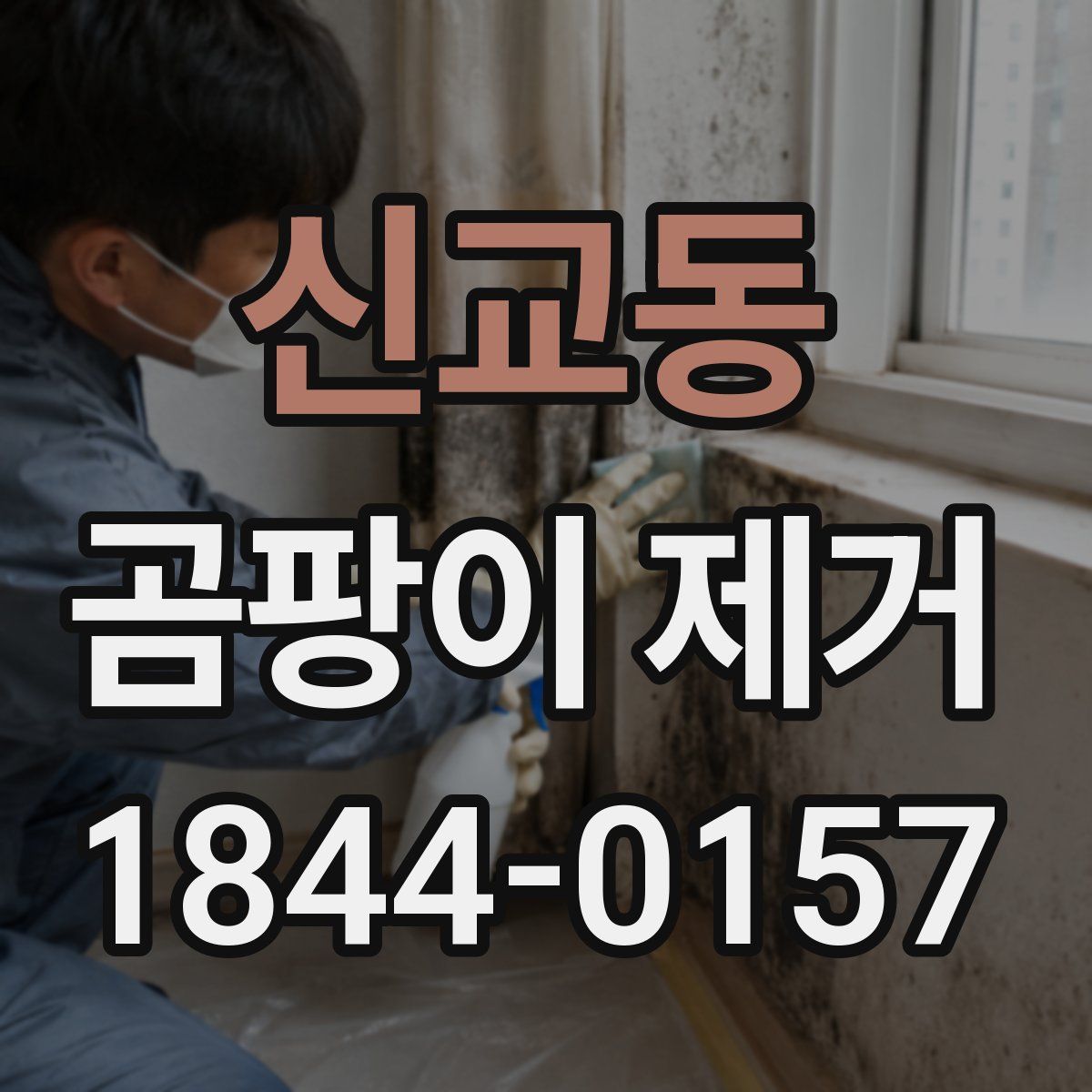 신교동 곰팡이 제거