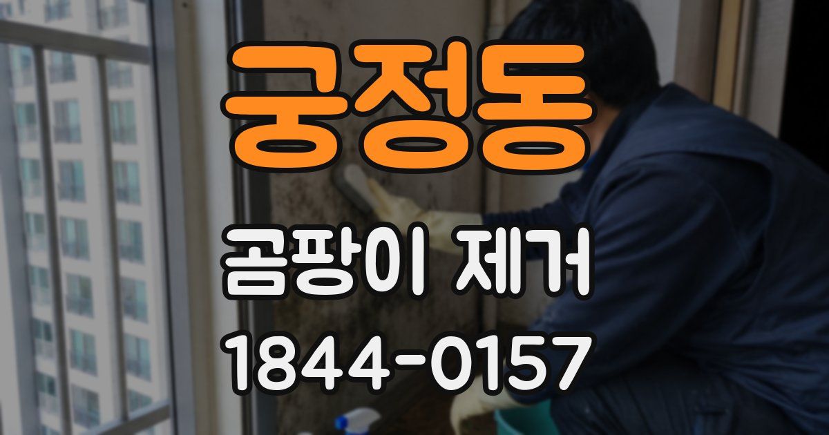 궁정동 곰팡이 제거
