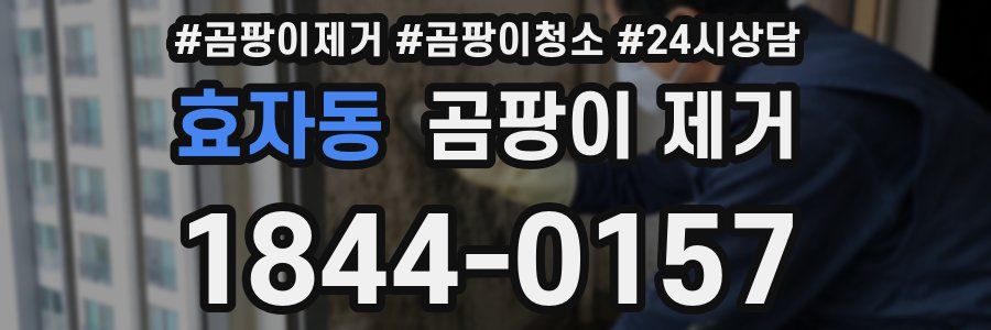 효자동 곰팡이 제거