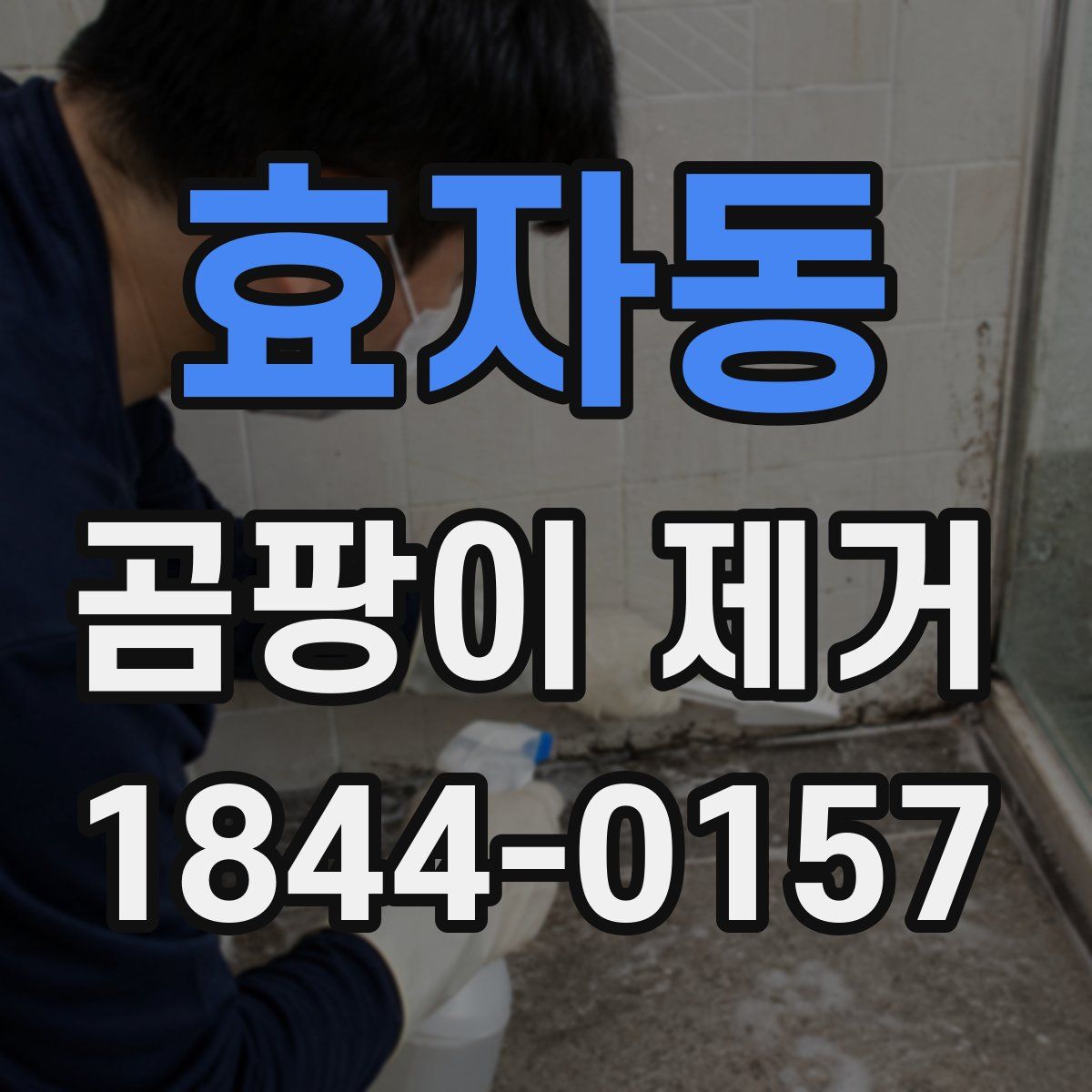 효자동 곰팡이 제거
