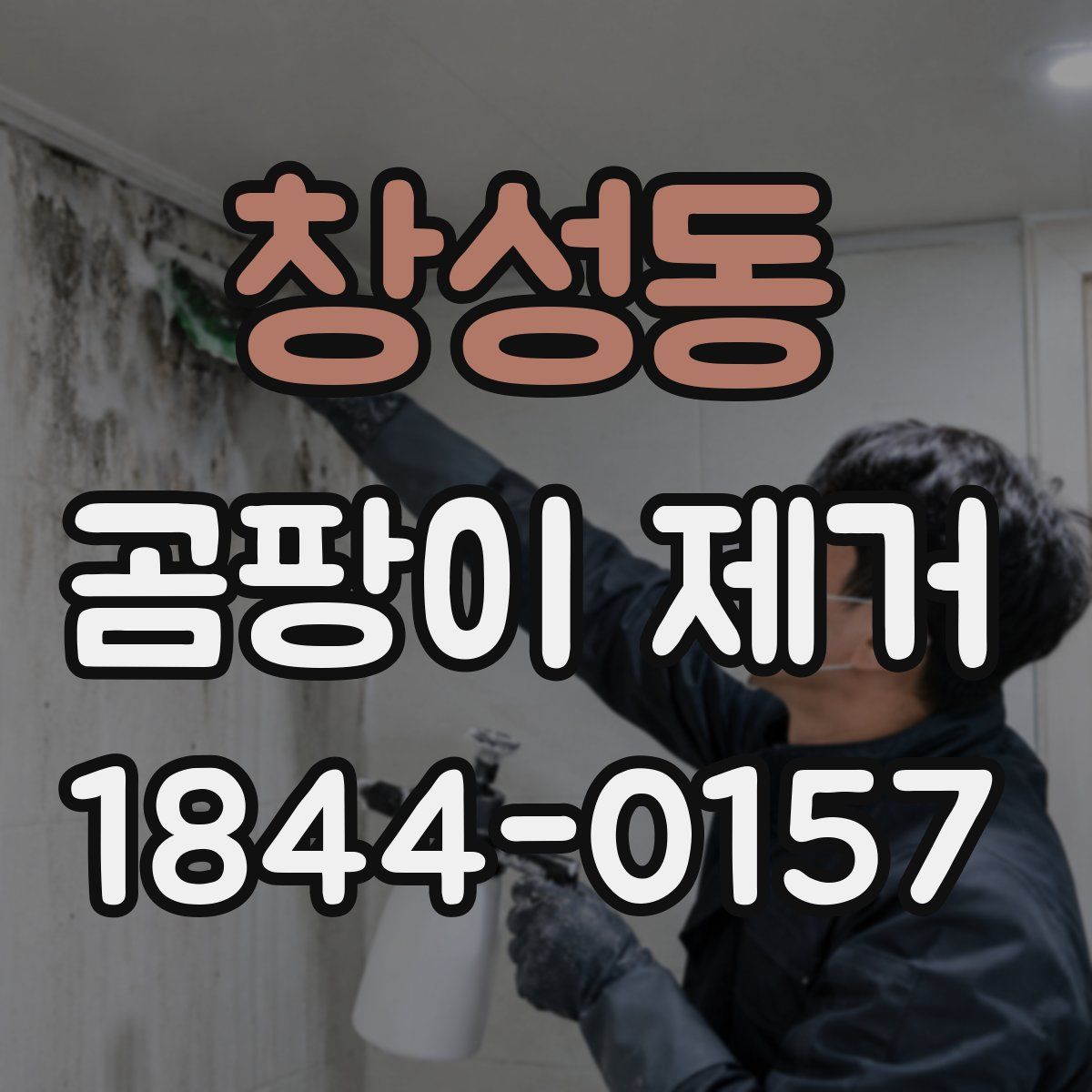 창성동 곰팡이 제거