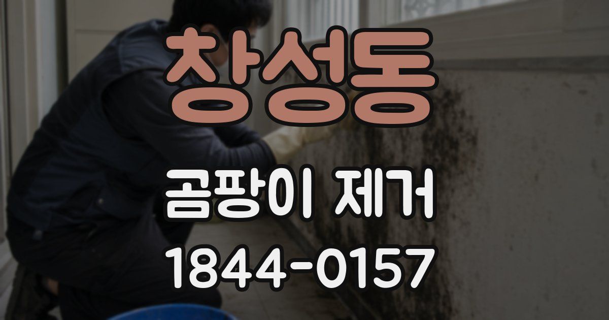 창성동 곰팡이 제거