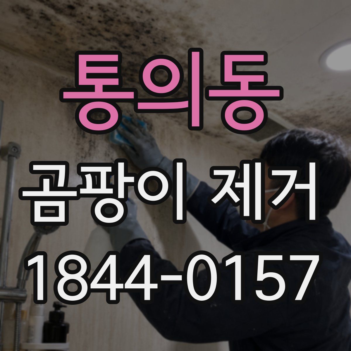 통의동 곰팡이 제거