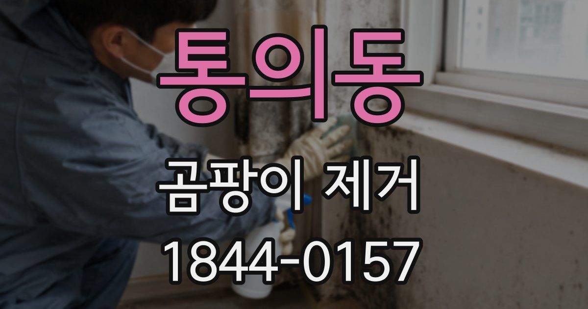 통의동 곰팡이 제거