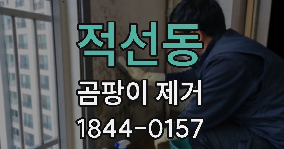 적선동 곰팡이 제거