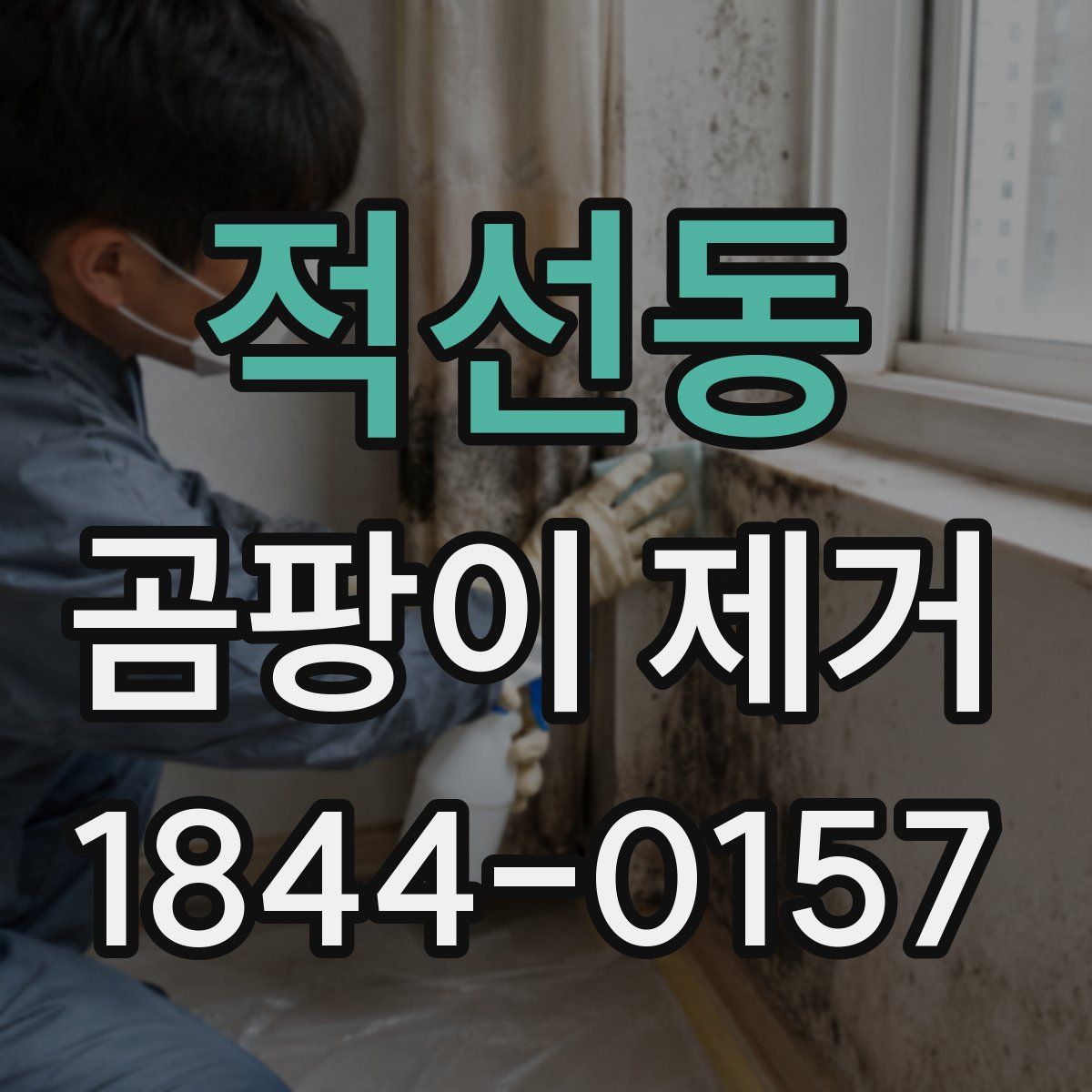 적선동 곰팡이 제거