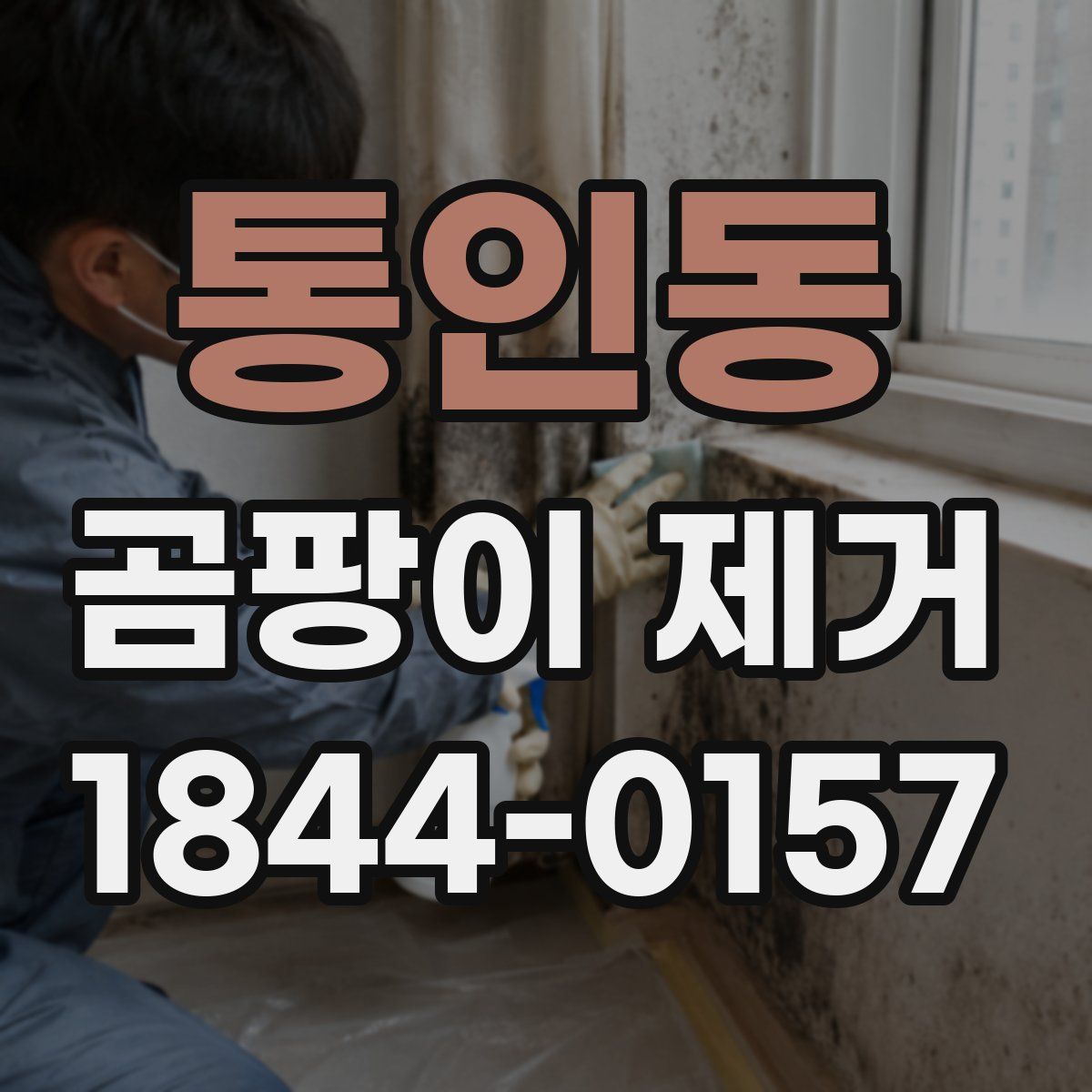 통인동 곰팡이 제거
