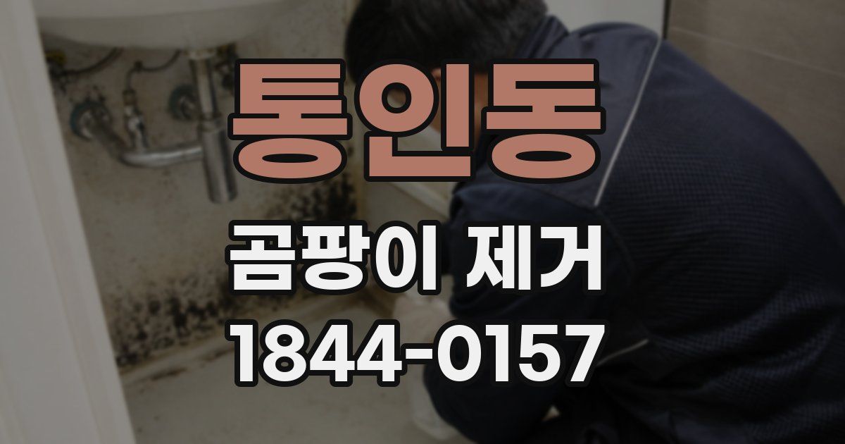 통인동 곰팡이 제거