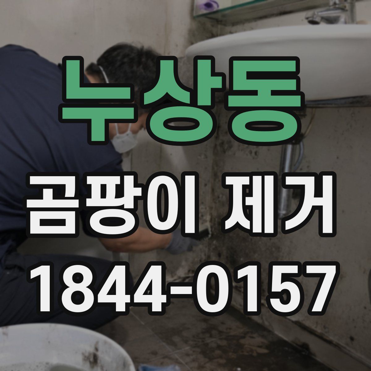 누상동 곰팡이 제거