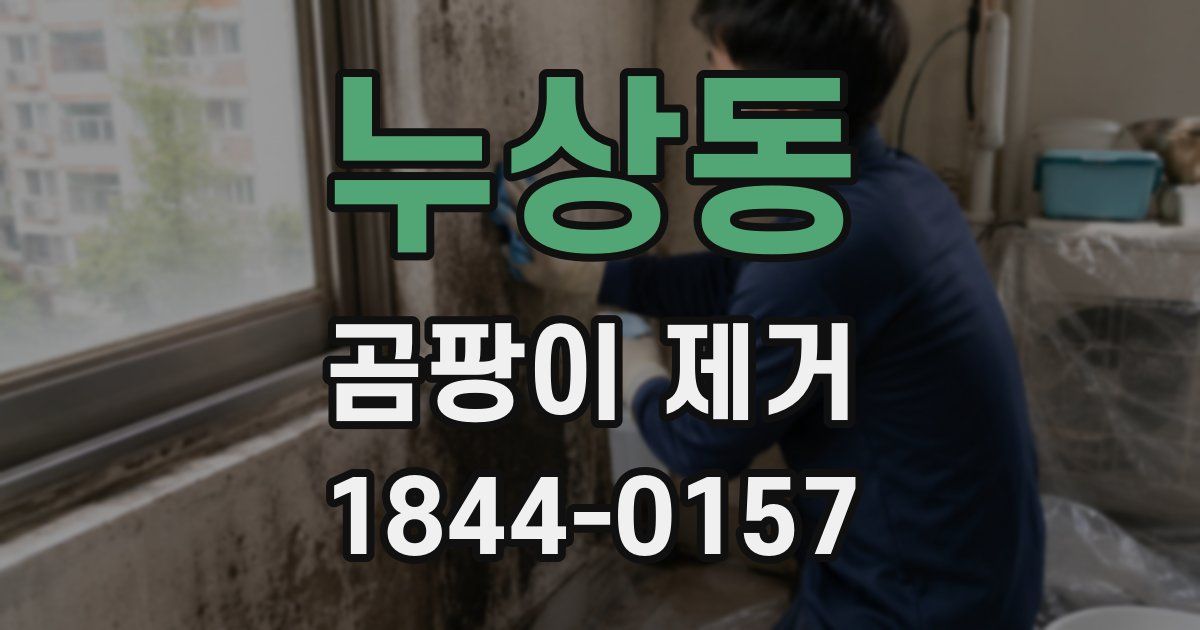 누상동 곰팡이 제거