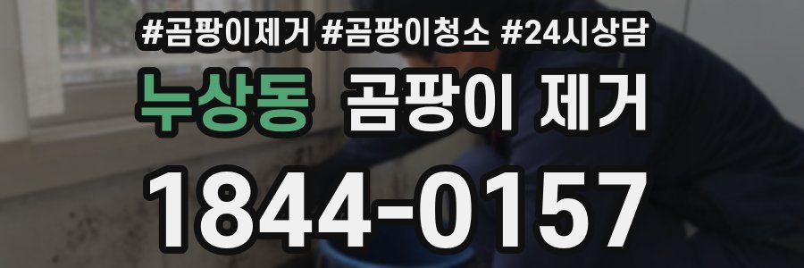 누상동 곰팡이 제거