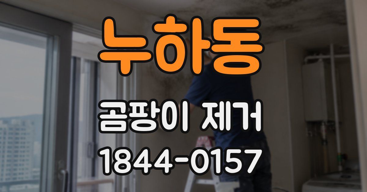 누하동 곰팡이 제거