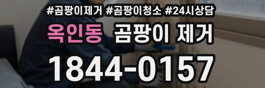 옥인동 곰팡이 제거