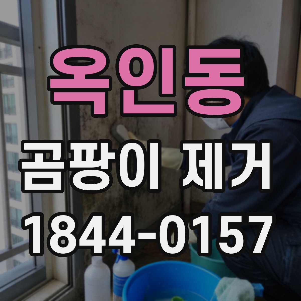 옥인동 곰팡이 제거