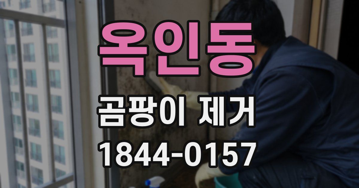옥인동 곰팡이 제거