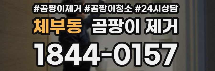 체부동 곰팡이 제거