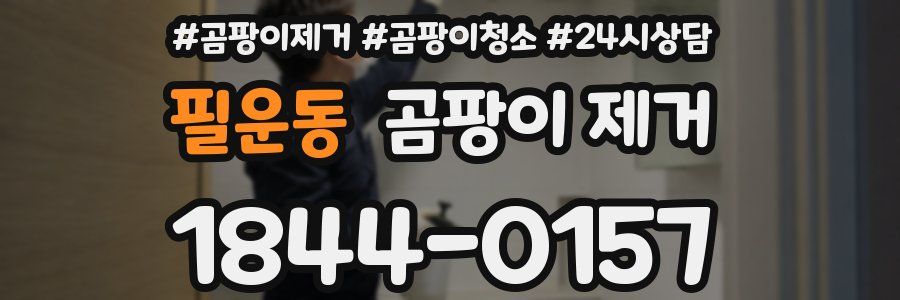 필운동 곰팡이 제거