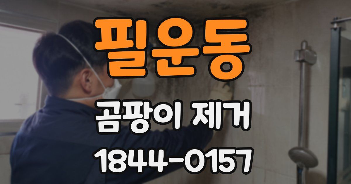 필운동 곰팡이 제거