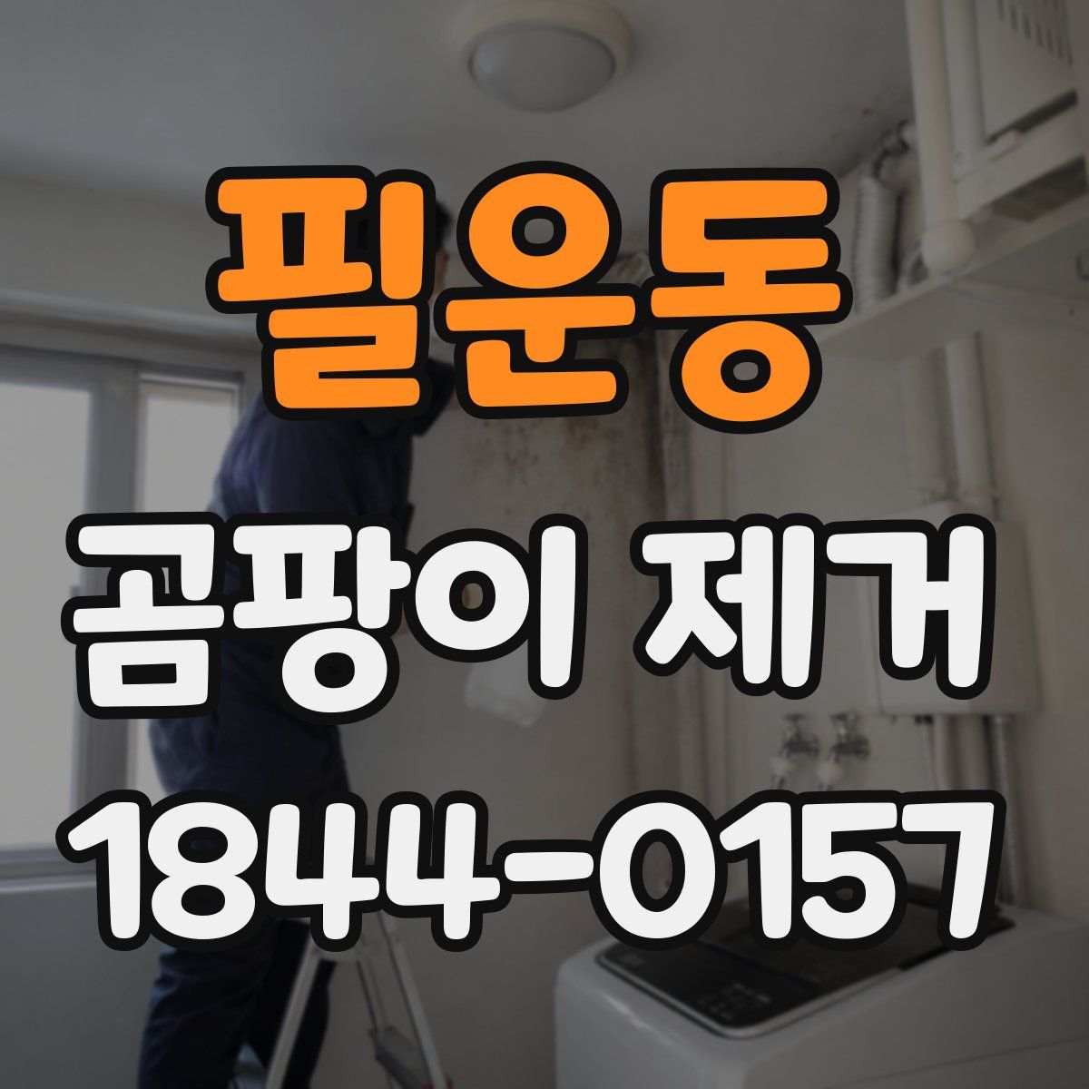 필운동 곰팡이 제거