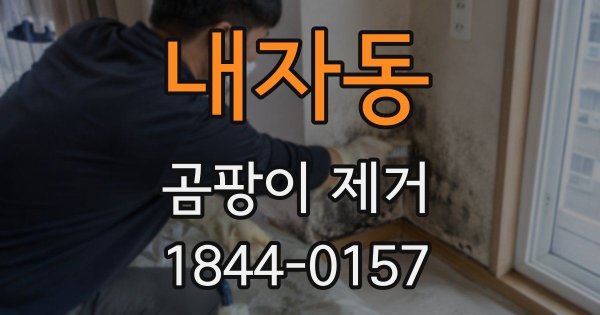 내자동 곰팡이 제거