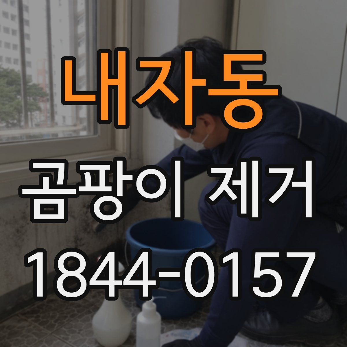 내자동 곰팡이 제거