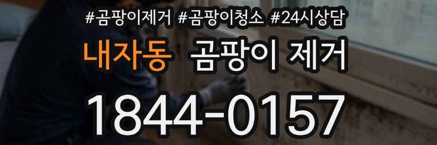 내자동 곰팡이 제거