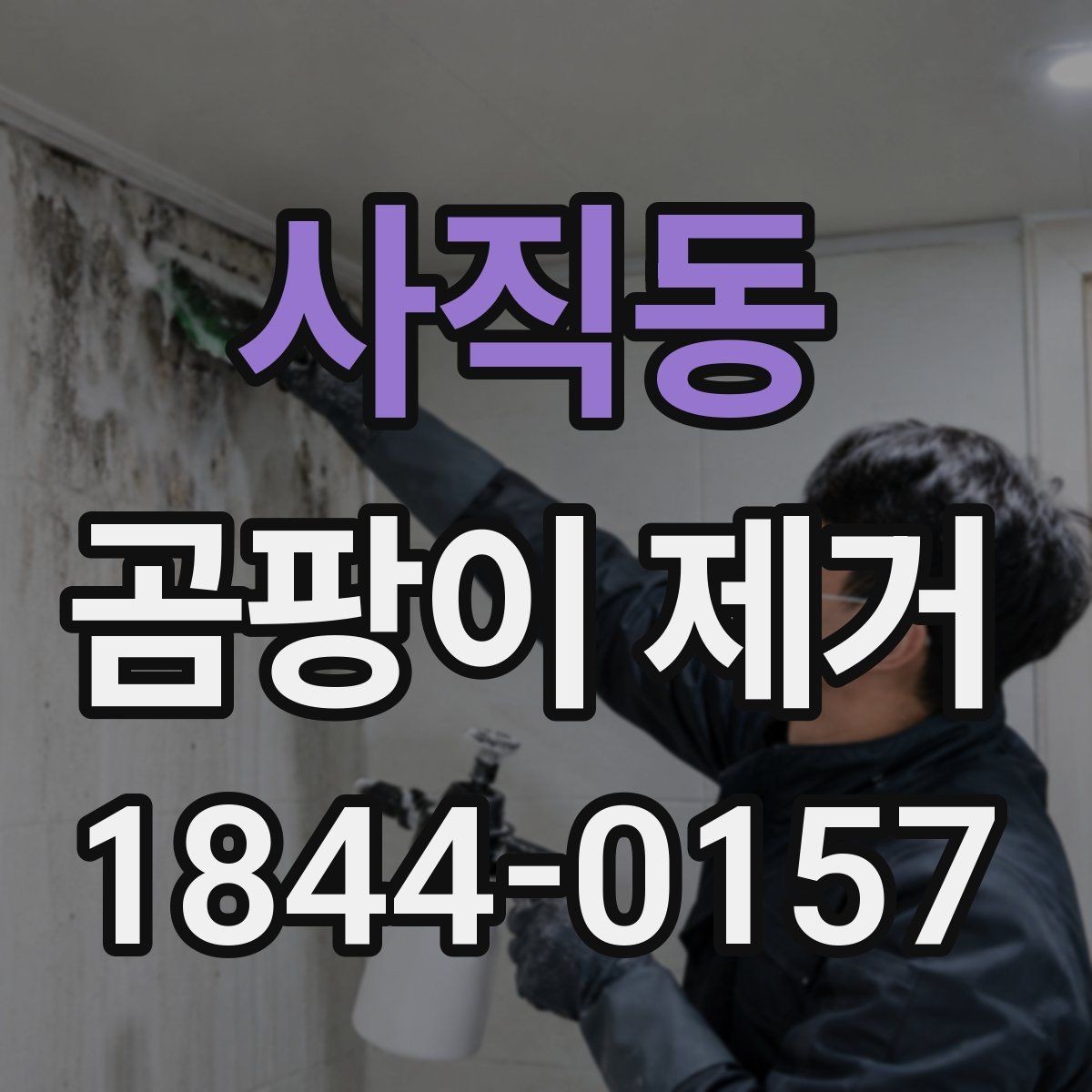 사직동 곰팡이 제거 안전수칙과 마스크 준비가 필요한 이유