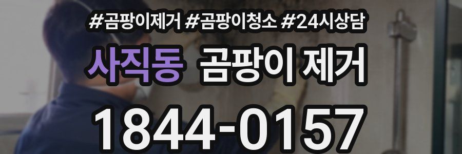 사직동 곰팡이 제거