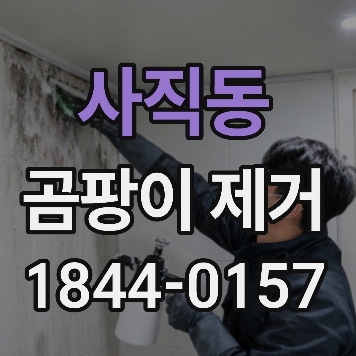 사직동 곰팡이 제거