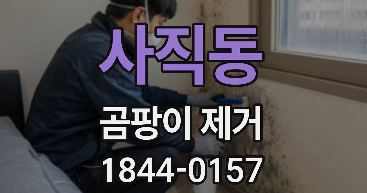 사직동 곰팡이 제거