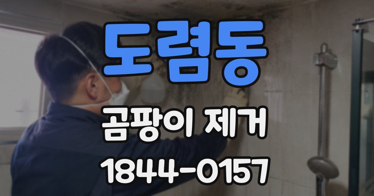 도렴동 곰팡이 제거