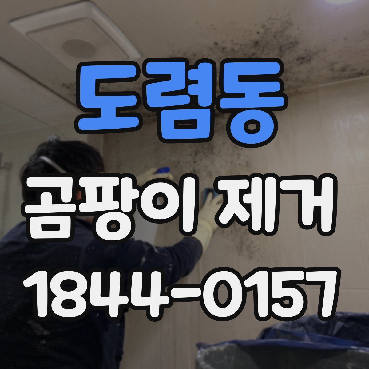 도렴동 곰팡이 제거