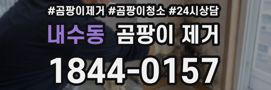 내수동 곰팡이 제거