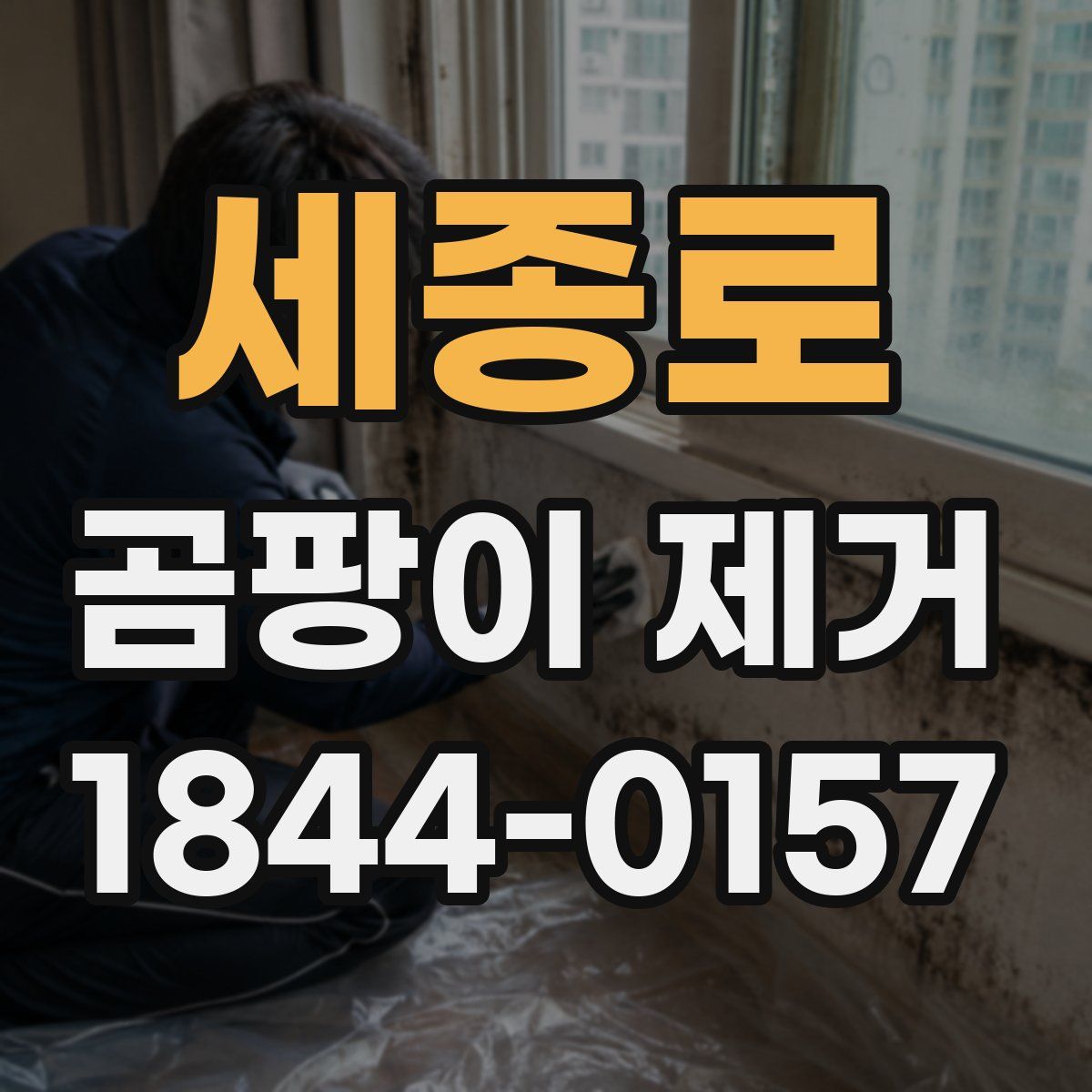 세종로 곰팡이 제거