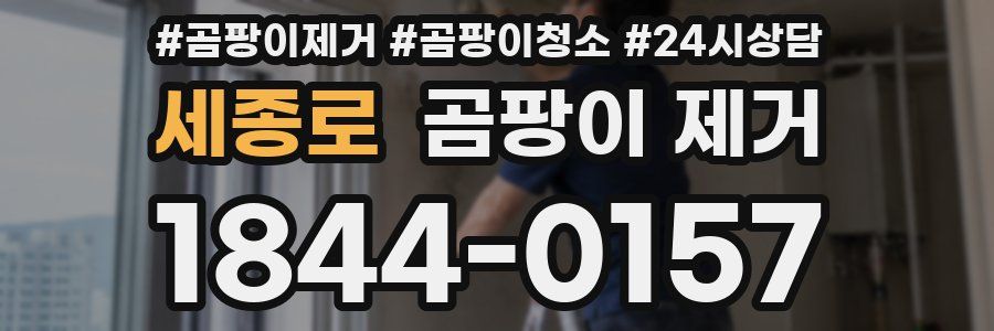 세종로 곰팡이 제거