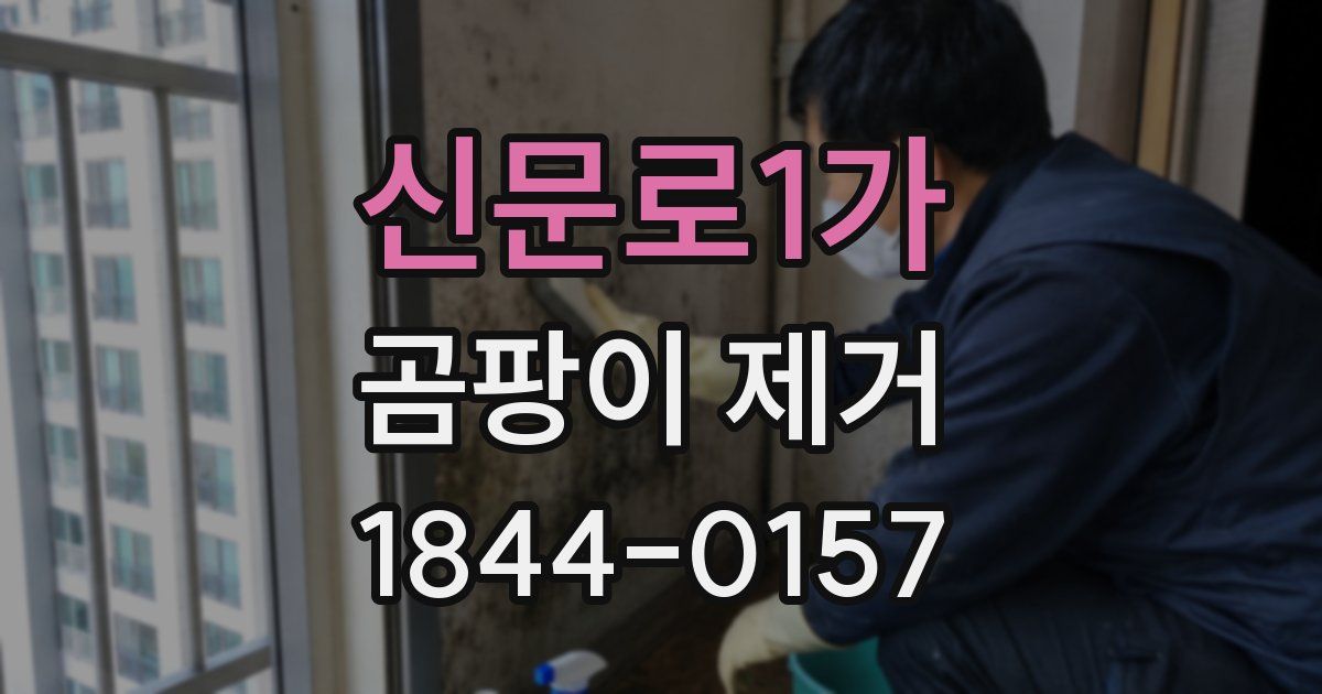 신문로1가 곰팡이 제거