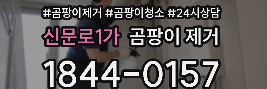 신문로1가 곰팡이 제거